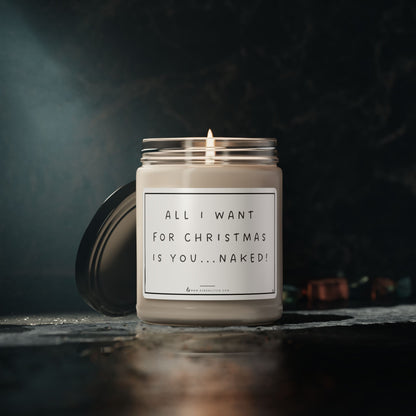 All I want for Christmas is you..NAKED! - Scented Soy Candle, 9oz